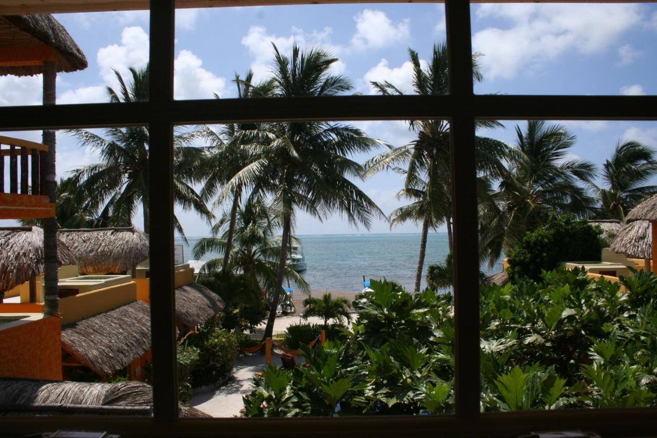 Seaside Cabanas Hotel Caye Corker Exteriör bild