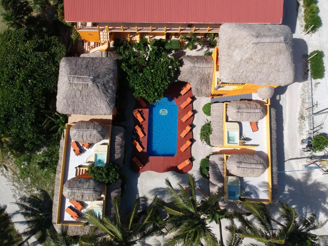 Seaside Cabanas Hotel Caye Corker Exteriör bild